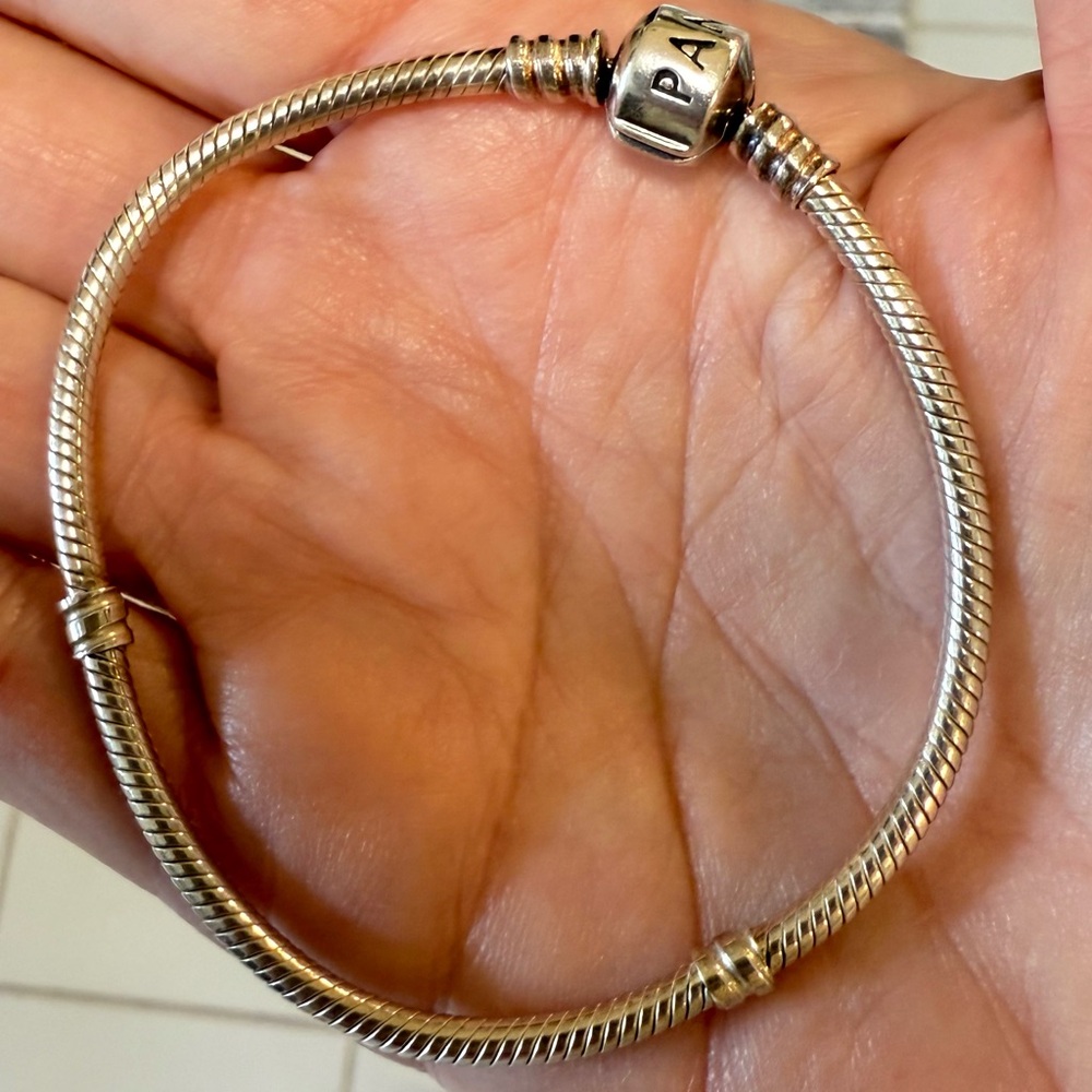 Pandora Silver Charm Bracelet